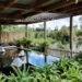 waikite valley pergola pool - covered with a wooden pergola, next to the steaming hot river, with rocks in the pool and plants and ferns surrounding it, the water is still and is reflecting the blue sky and clouds - hot pools and springs north island new zealand