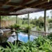 waikite valley pergola pool - covered with a wooden pergola, next to the steaming hot river, with rocks in the pool and plants and ferns surrounding it, the water is still and is reflecting the blue sky and clouds - hot pools and springs north island new zealand
