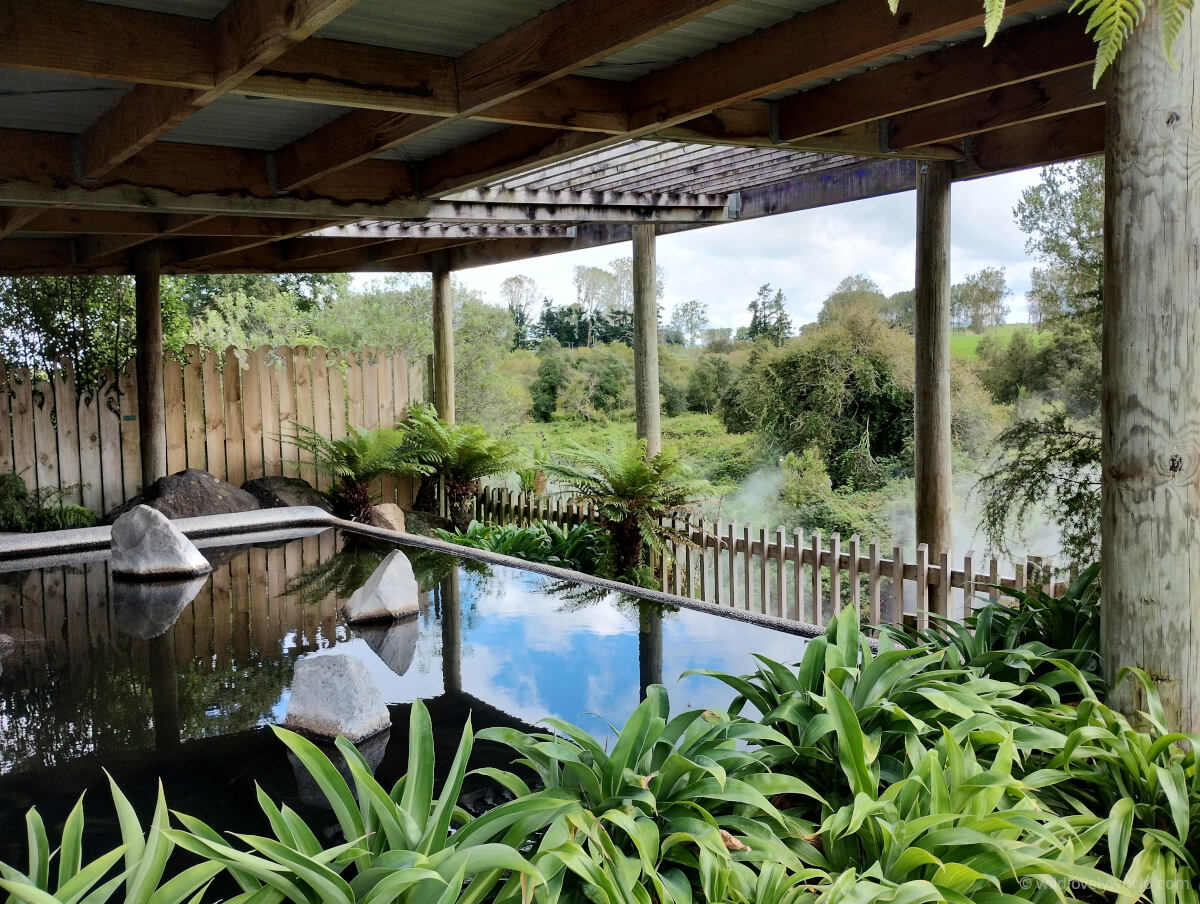 waikite valley pergola pool - covered with a wooden pergola, next to the steaming hot river, with rocks in the pool and plants and ferns surrounding it, the water is still and is reflecting the blue sky and clouds - hot pools and springs north island new zealand