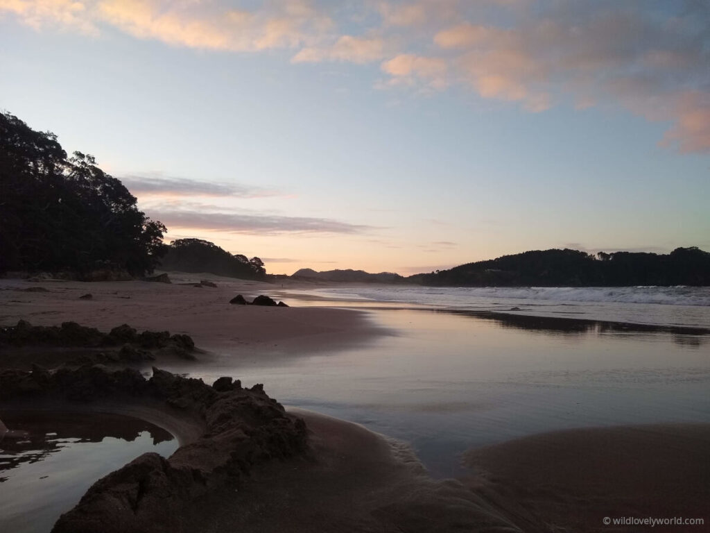 view of coromandel hot water beach at sunset, with pink and blue colours in the sky and reflecting on the sand