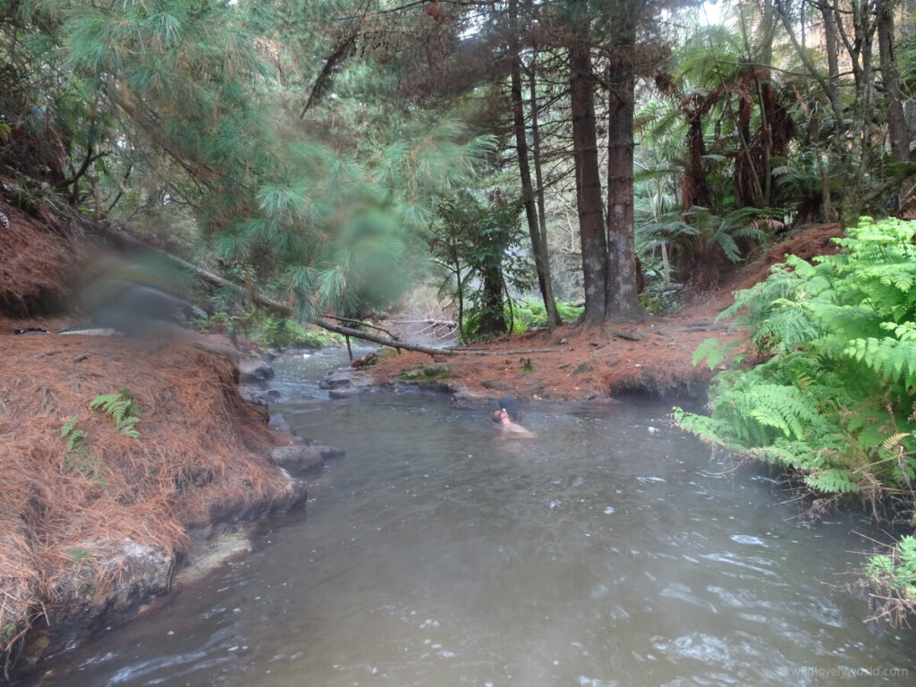 fiachra enjoying the natural geothermal hot pool in the kerosene creek, north island, new zealand