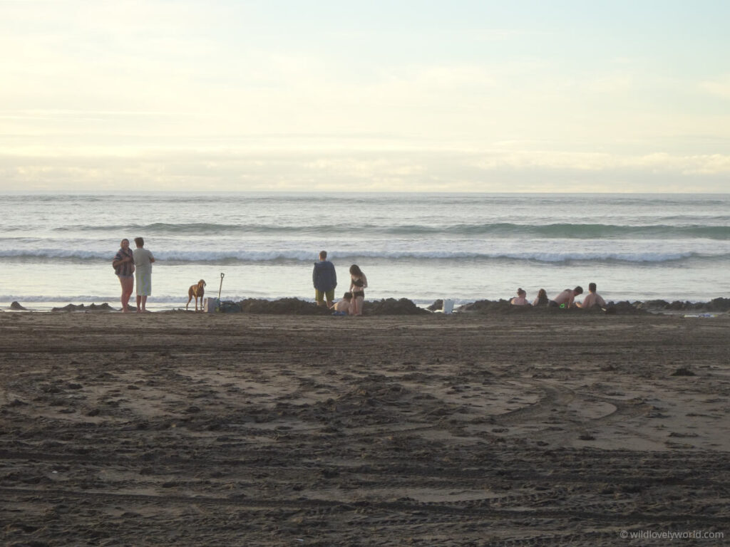 people sitting and standing on the sand in hot pools next to the ocean, with a spade sticking up and a dog there too, at hot water beach kawhia on the west coast of the north island