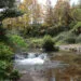hot pools and a small waterfalls in wild natural forest with green and yellow color leaves, at kerosene creek natural hot springs geothermal area near waiotapu and rorotura, north island new zealand