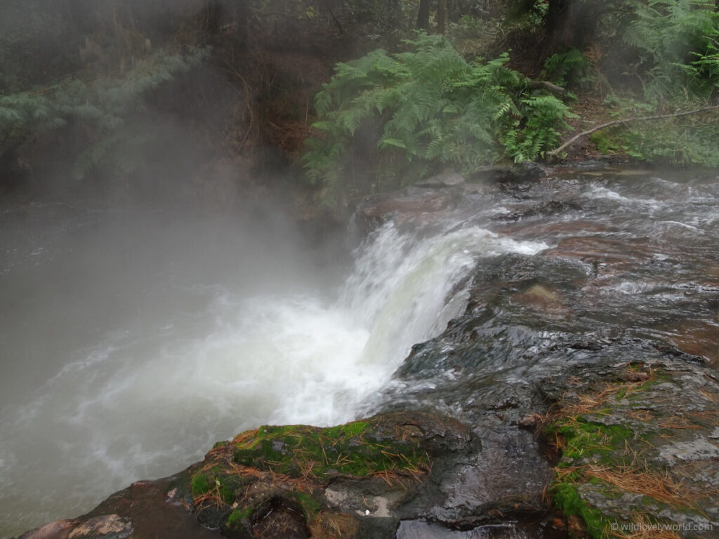 hot waterfall at kerosene creek, natural and wild hot springs and pools in north island new zealand