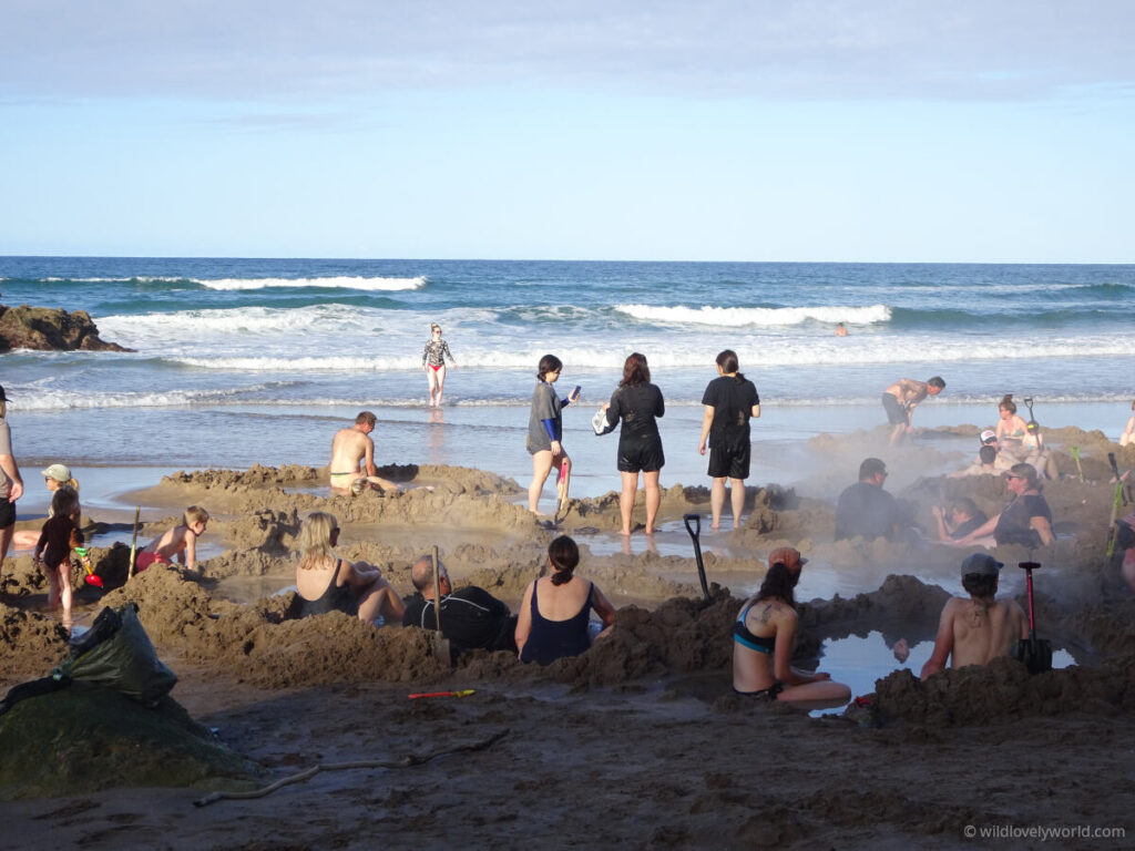 lots of people sitting and standing in dug hot pools in the sand, with the ocean behind, and steam rising, spades stuck up into the sand at coromandel hot water beach, north island, new zealand