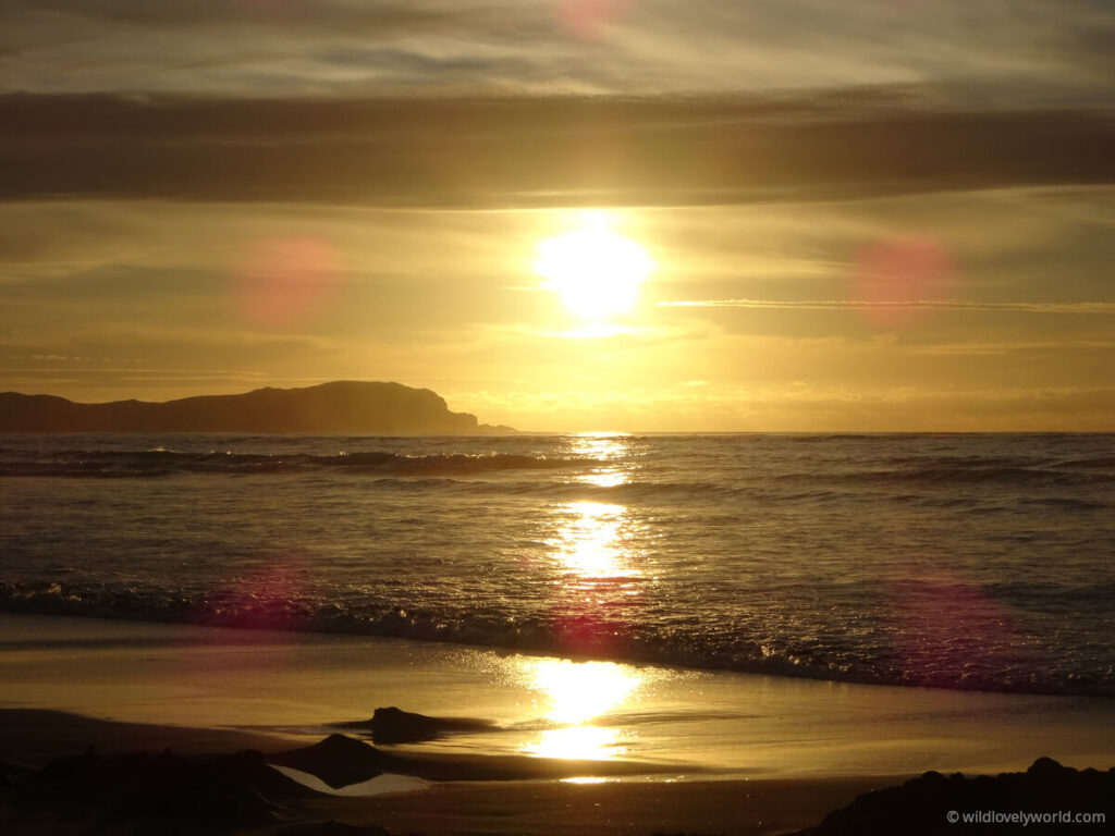 kawhia hot water beach north island new zealand at sunset, golden sun reflecting on the ocean and beach with hills in the distance.