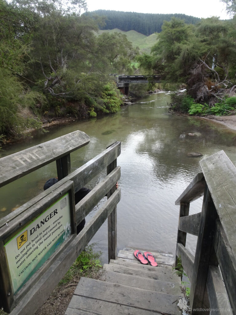 hot n cold natural hot spring river in waiotapu near rotorua new zealand - wooden bridge and steps leading down to the river, with a danger sign warning about bacteria in natural hot spring can cause amoebic meningitis. red flipflops on the steps. bridge in the distance over the river. trees and bush on the river banks.