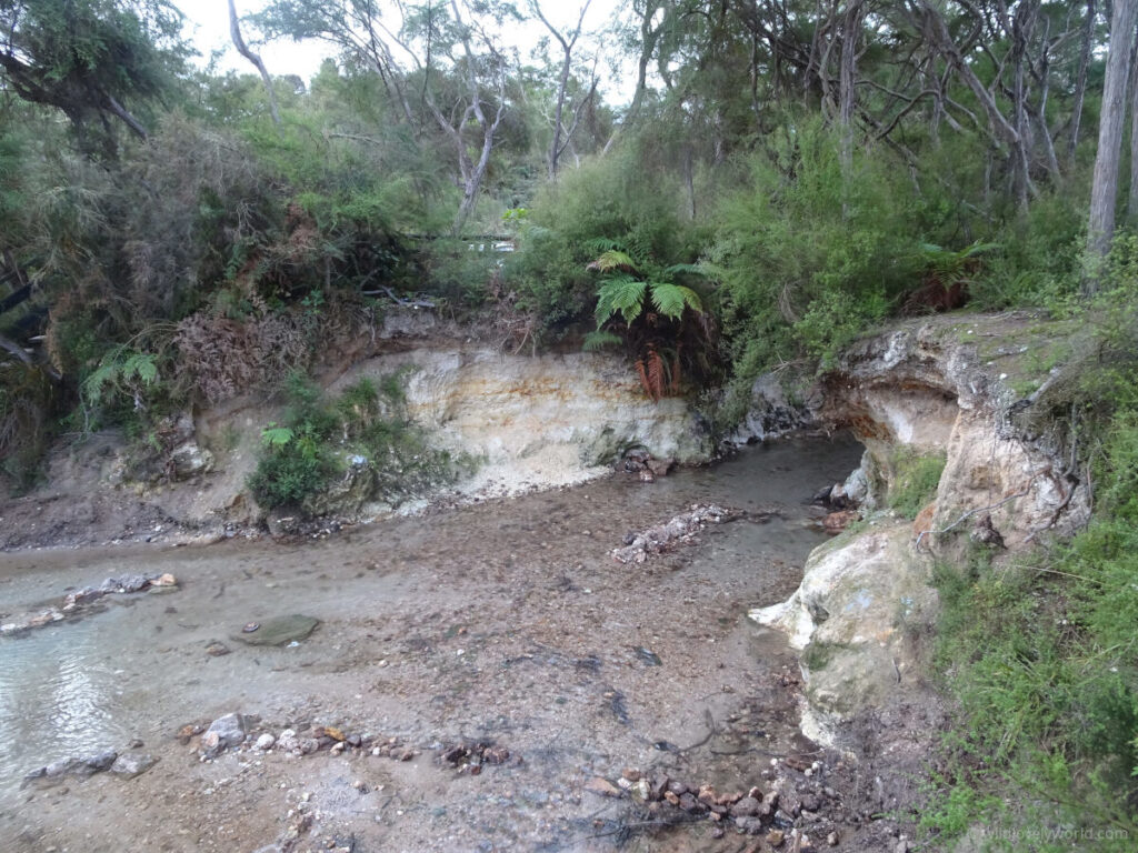 hot n cold natural hot spring river in waiotapu near rotorua new zealand - shallow river with rocks and clay banks eitheer side with bush and trees