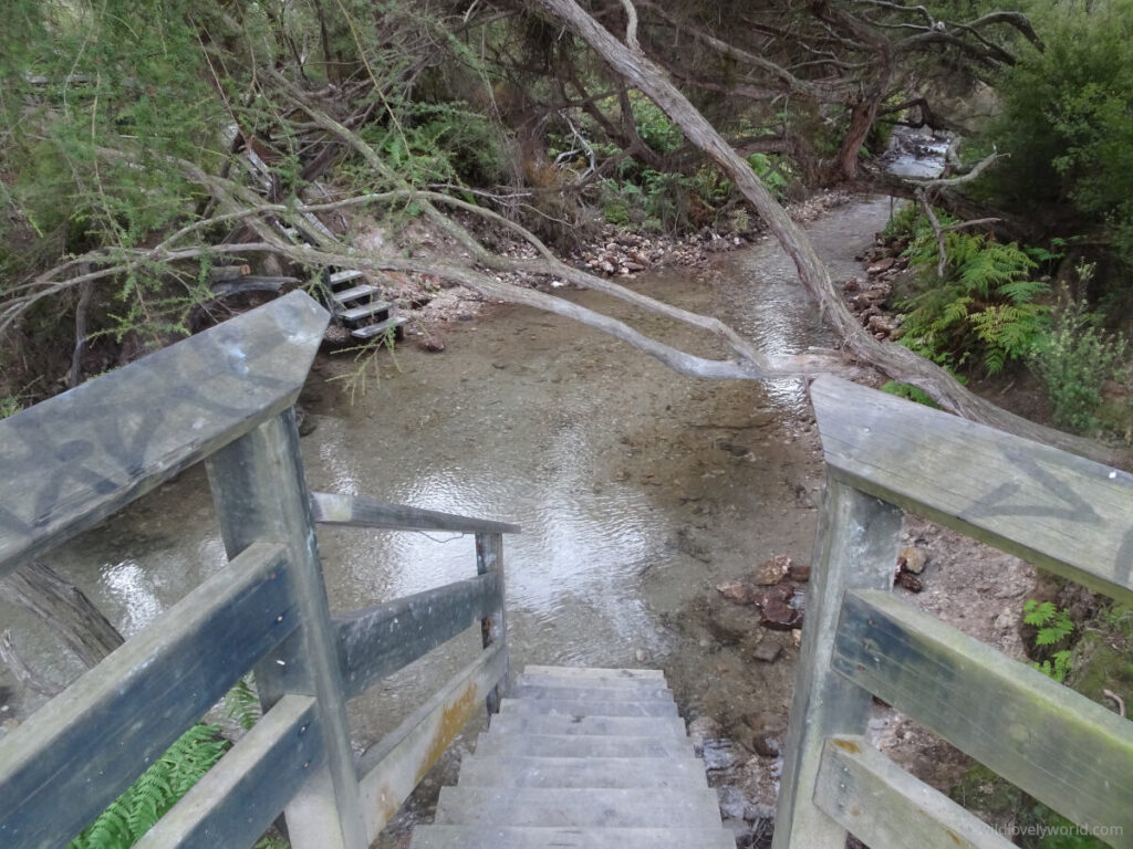 wooden steps leading down to the shallow creek at hot 'n' cold natural geothermal hot spring in north island new zealand