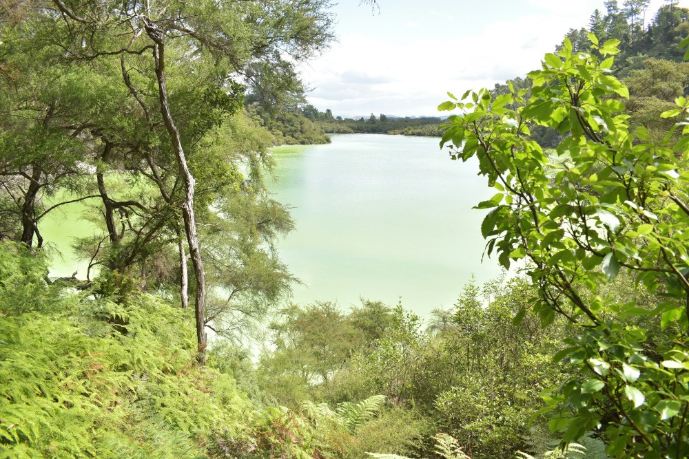 lake rotowhero near waiotapu geothermal green lake north island new zealand