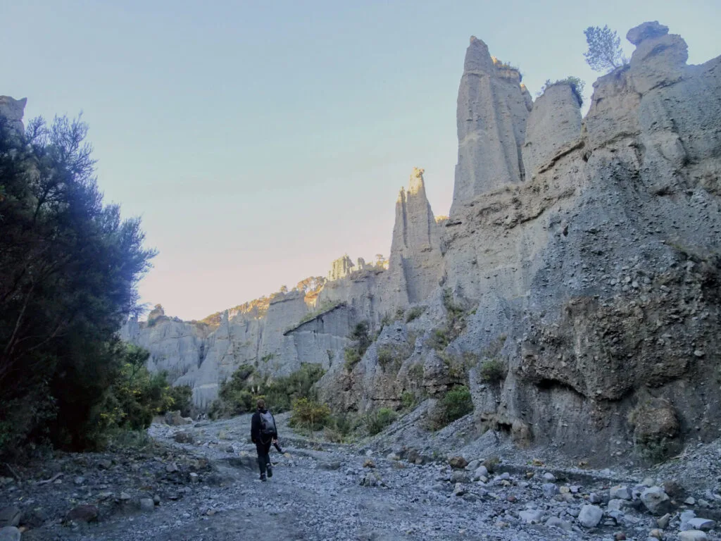 fiachra walking through valley of putangirua pinnacles in north island new zealand