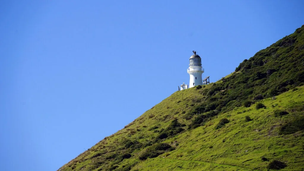 cape brett lighthouse in bay of islands new zealand - view from below looking up at the white lighthouse, on a green hillside, with blue sky