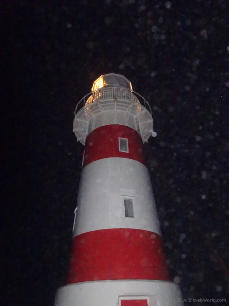 red and white striped lighthouse at night, lit up yellow, in the dark in the rain with smudges on the camera lens - cape palliser lighthouse in the north island, new zealand