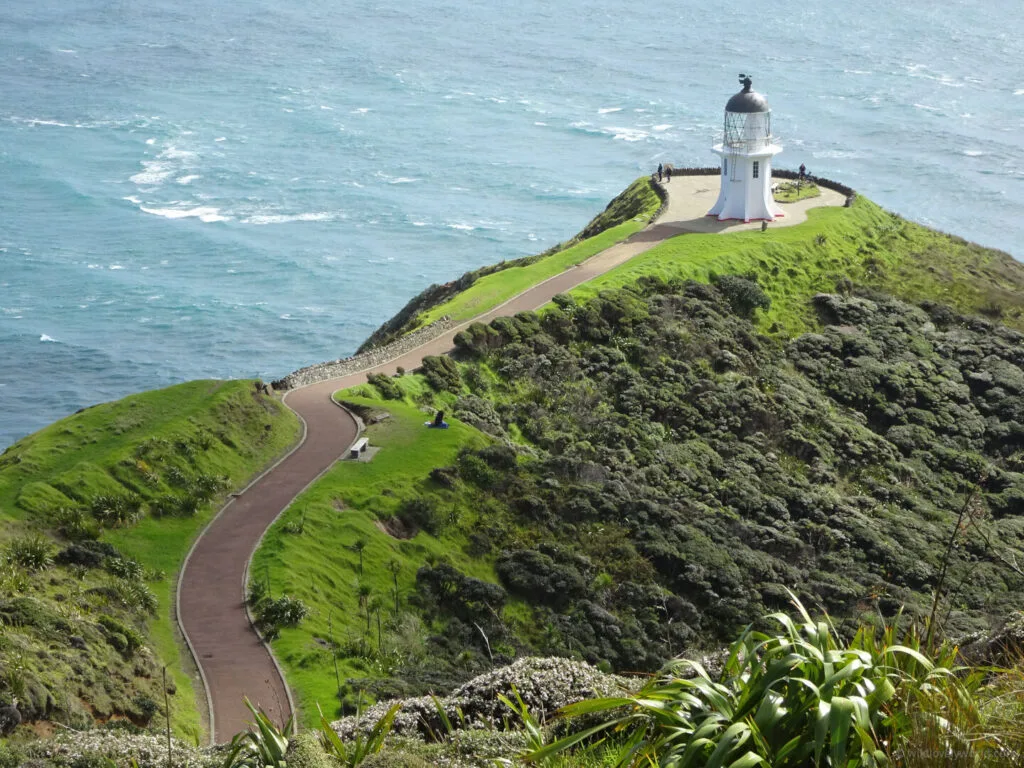 view of winding, paved walking path leading to cape reinga lighthouse, surrounded by green grass and bush shrubs, with the blue sea in the background