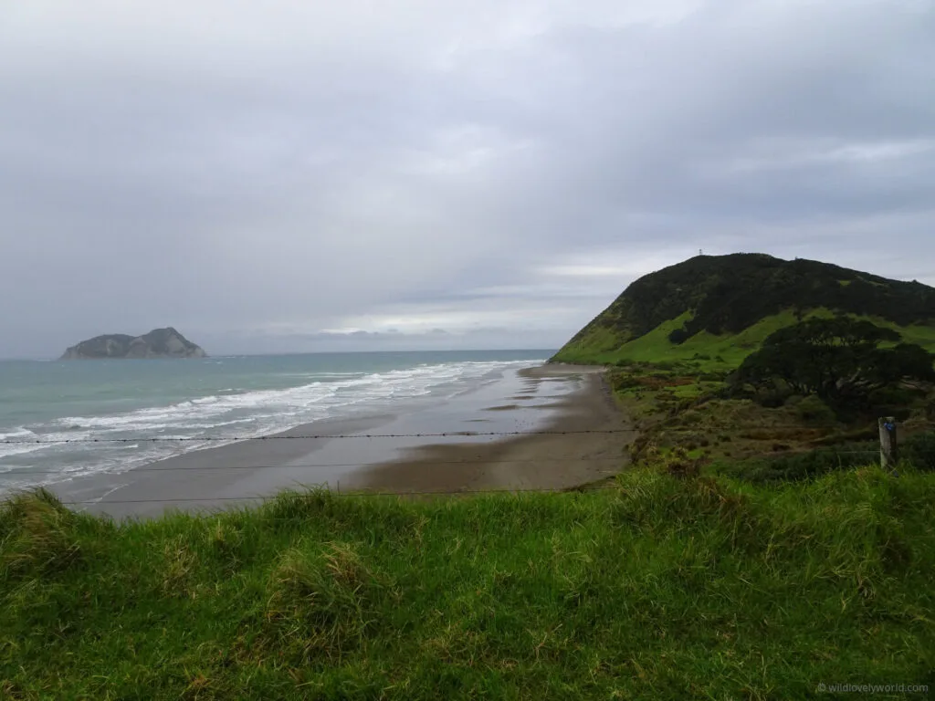 rainy day view of a beach with an island on the left called east island and a hill across the sea on the right - on top of the hill is the east cape lighthouse in north island new zealand