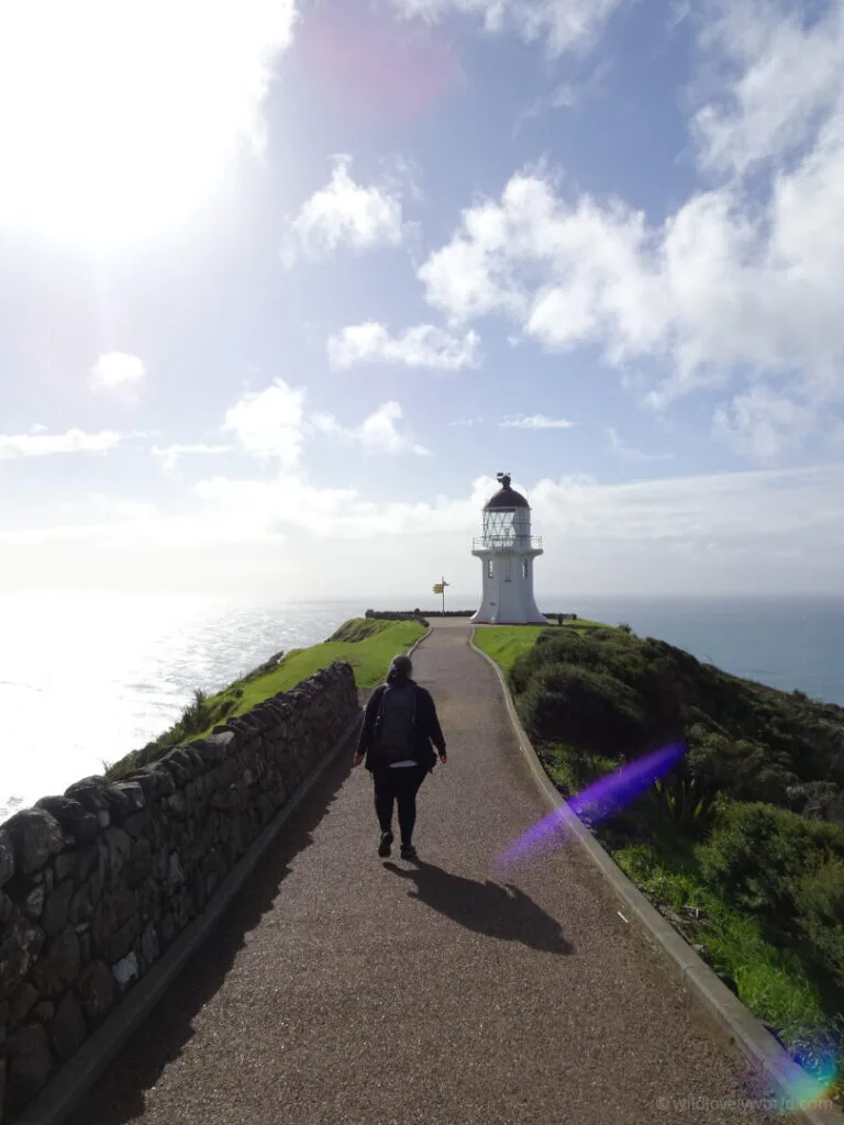 lauren walking to cape reinga lighthouse