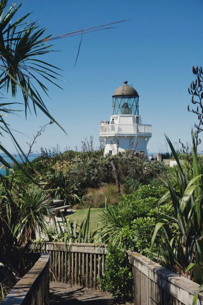 manukau heads lighthouse in auckland region, new zealand - small wooden white lighthouse with large light dome, a balcony halfway up the lighthouse has people standing on it, many green bushes and tropical plants, with a wooden fenced walkway leading to the lighthouse, and a blue sky