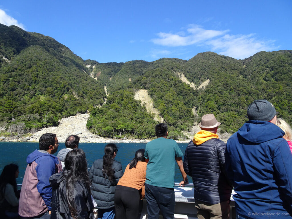 people viewing the scenery on the milford sound cruise