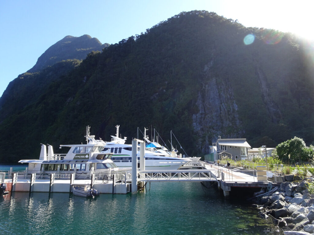 milford sound boat cruise harbour in new zealand