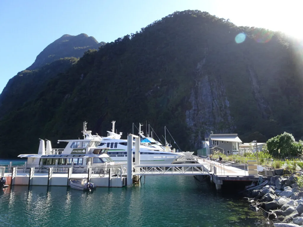 milford sound boat cruise harbour in new zealand