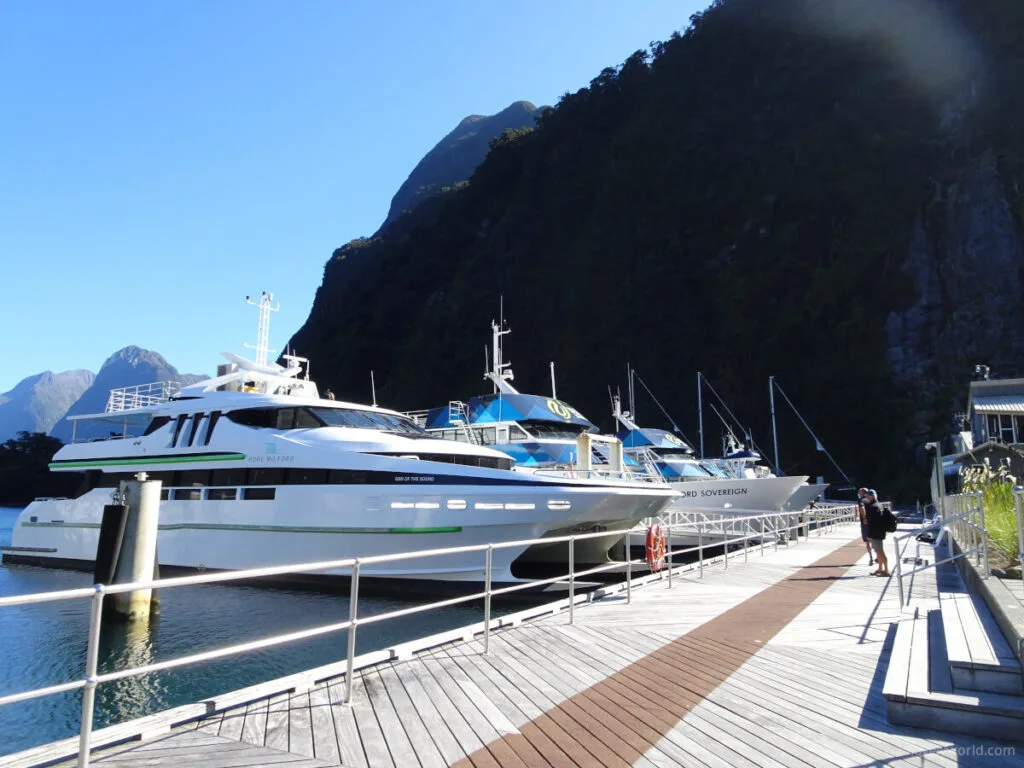 milford sound cruise boats docked in the harbour in new zealand