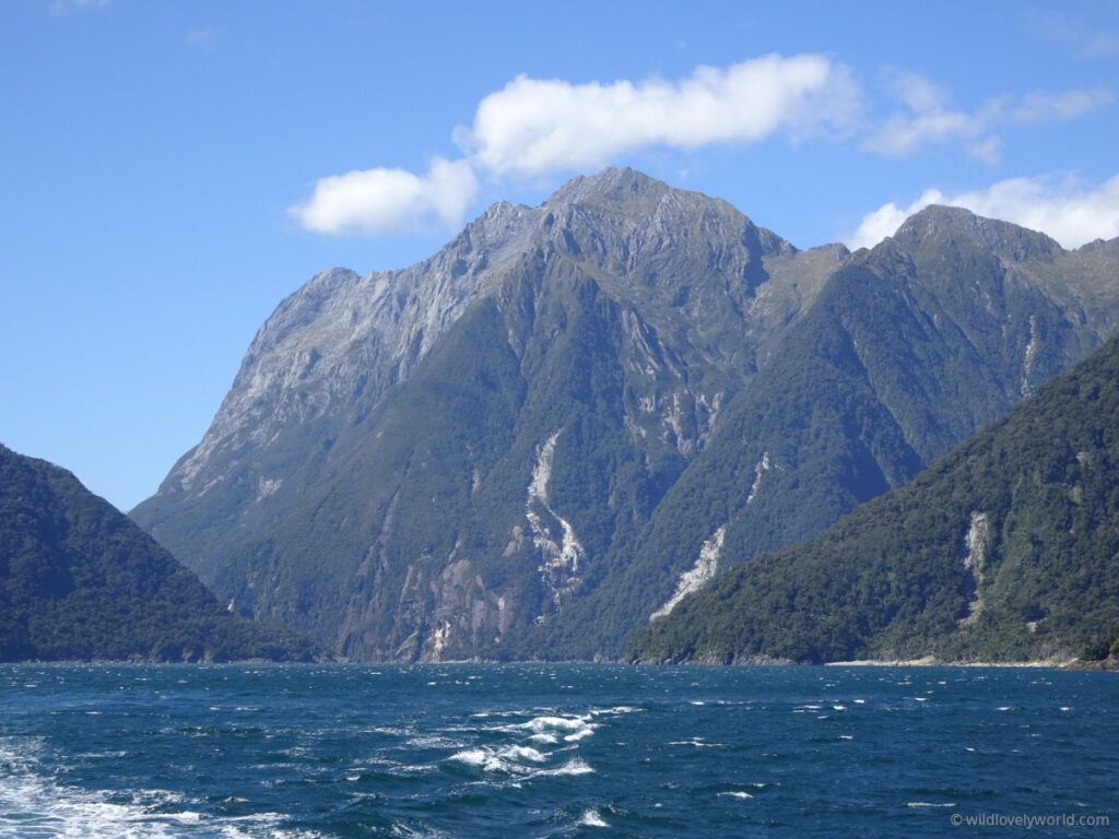 view of towering mountains in the fjord at milford sound