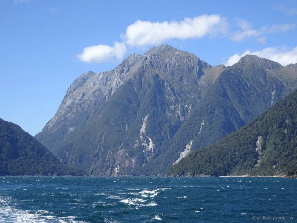 view of towering mountains in the fjord at milford sound