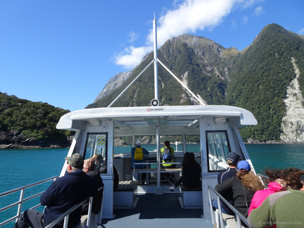 view of mitre peak cruise boat top deck with people sitting either side on benches enjoying the view