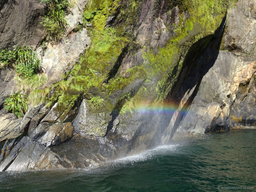 rainbow in falls water in milford sound