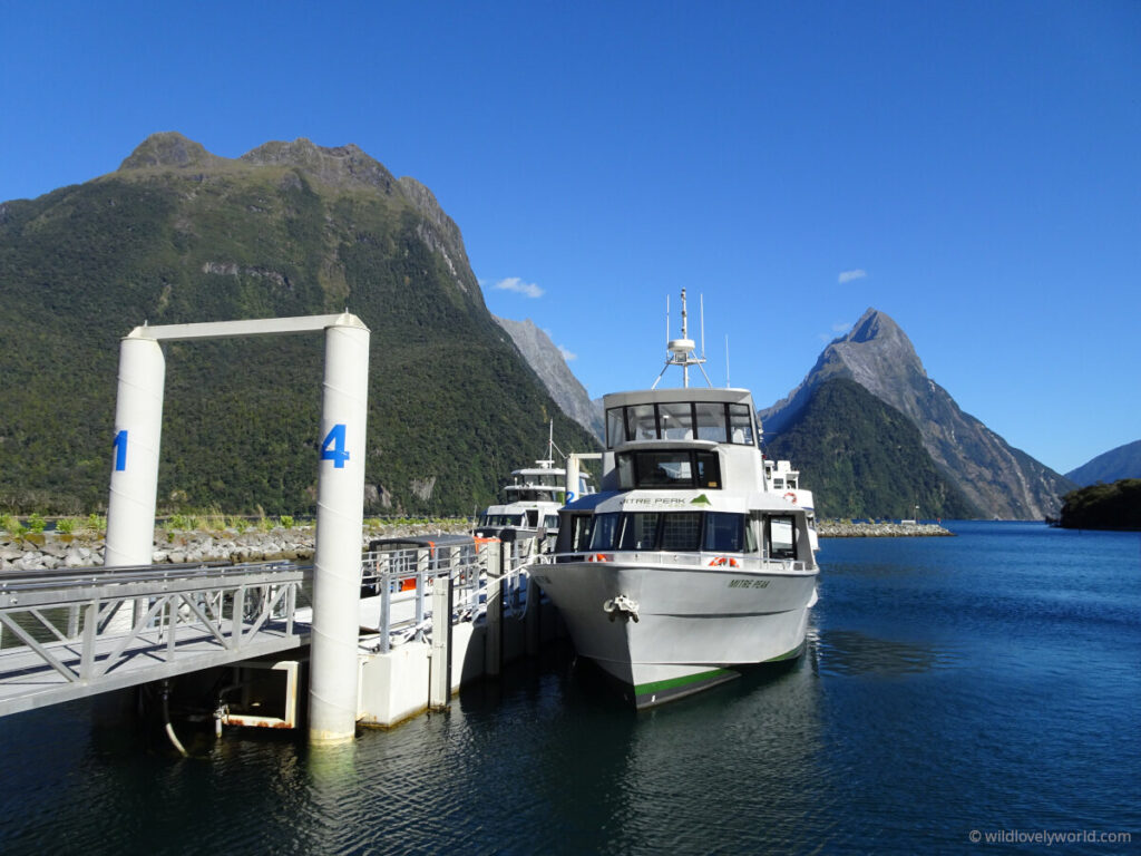 mitre peak milford sound cruise boat in harbour