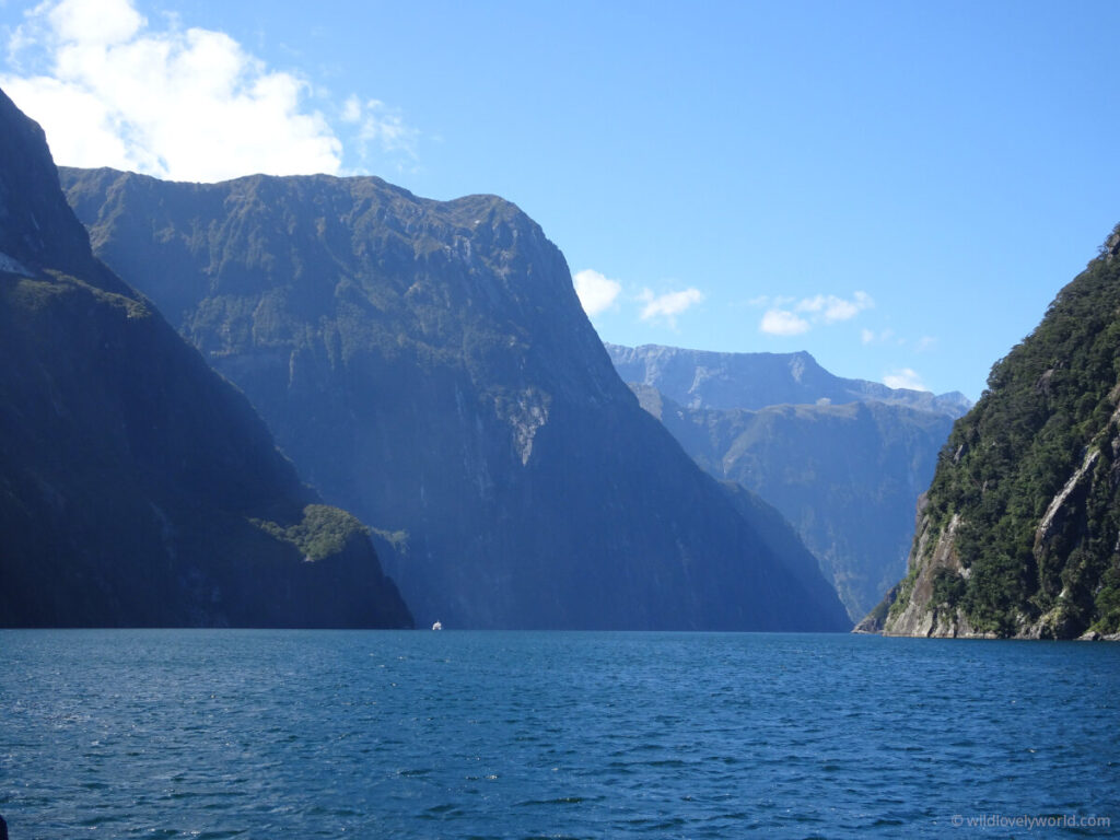 view of milford sound fjord in new zealand