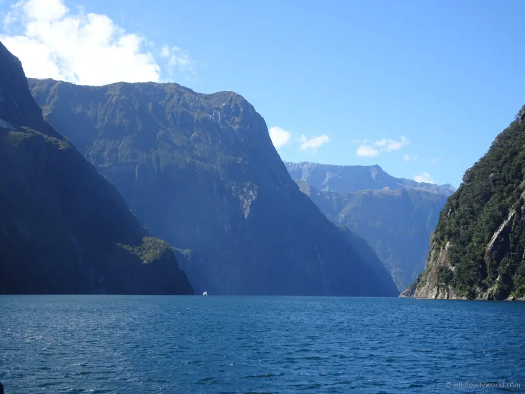 view of milford sound fjord in new zealand