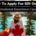 how to apply for sin online international experience canada