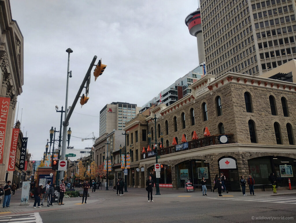 calgary downtown buildings with calgary tower