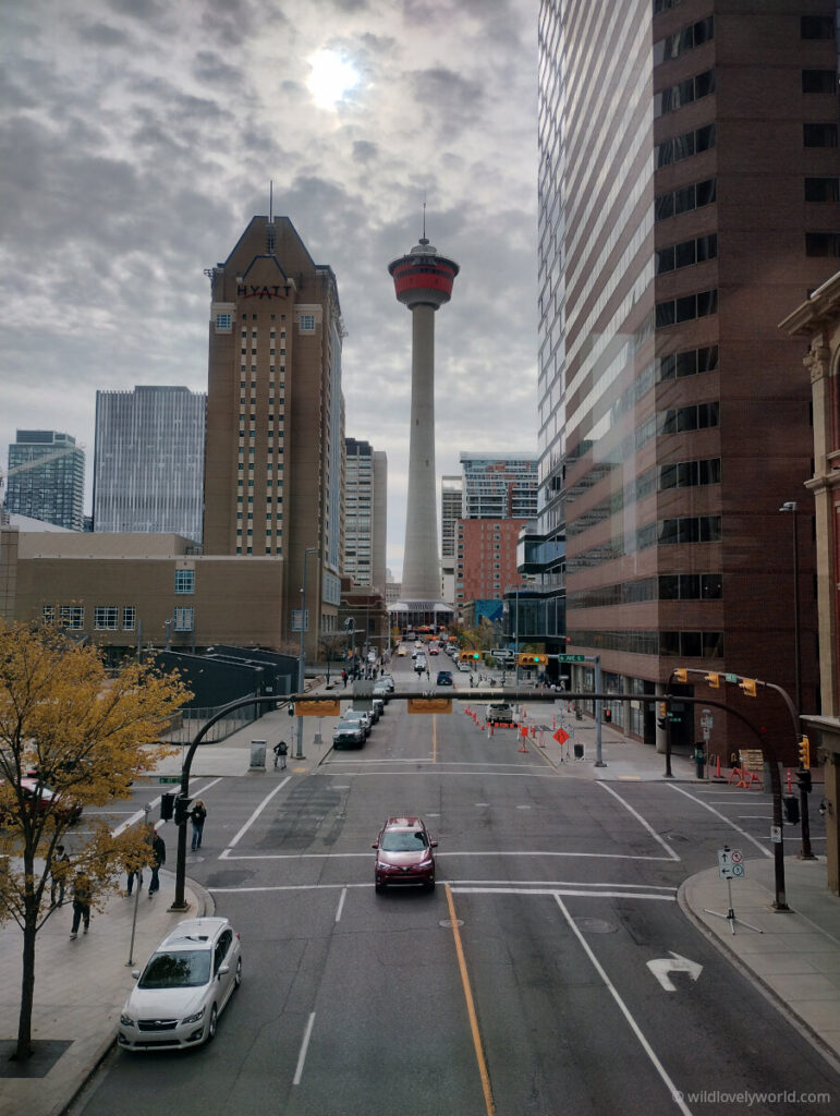 view of calgary tower from the skywalk
