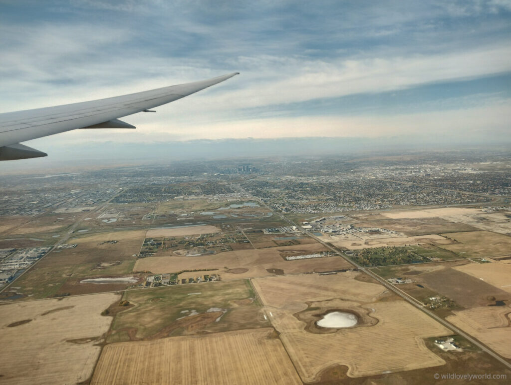 view of calgary alberta canada from the flight window