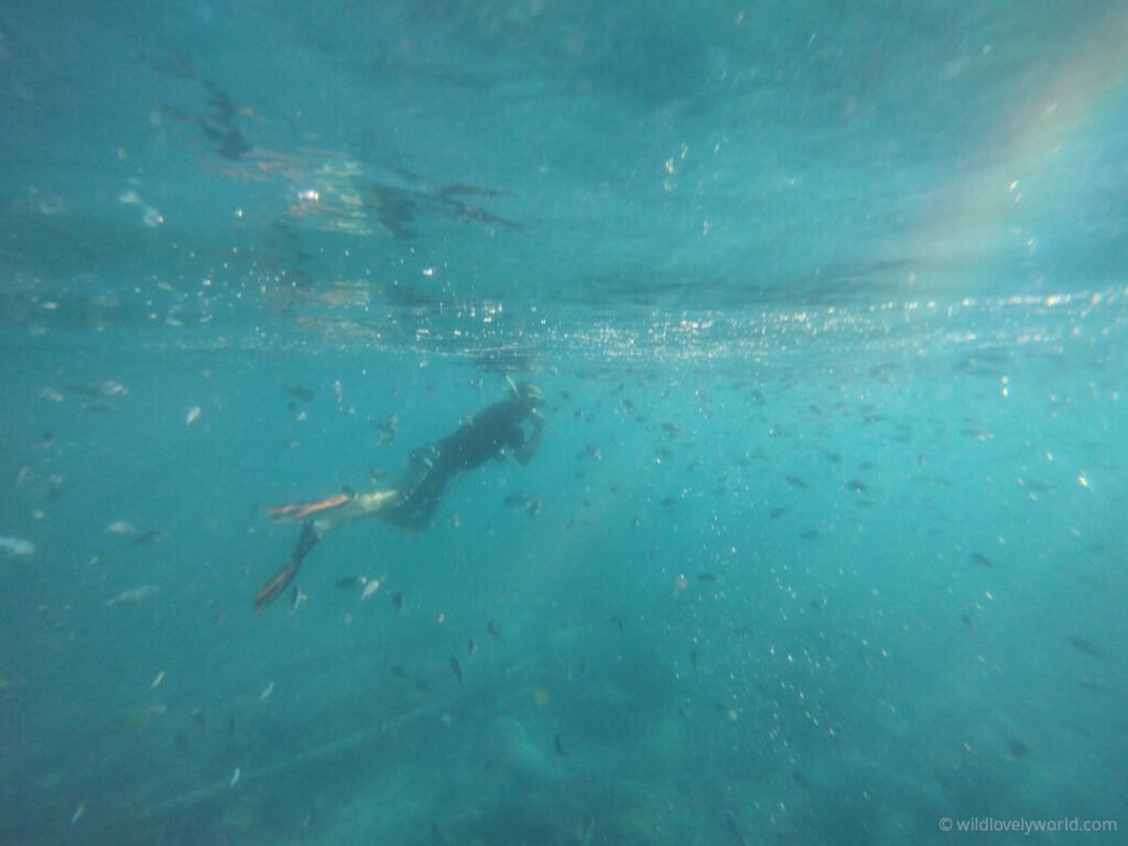 fiachra snorkelling in a school of fish with a rainbow of light, gili meno island lombok indonesia