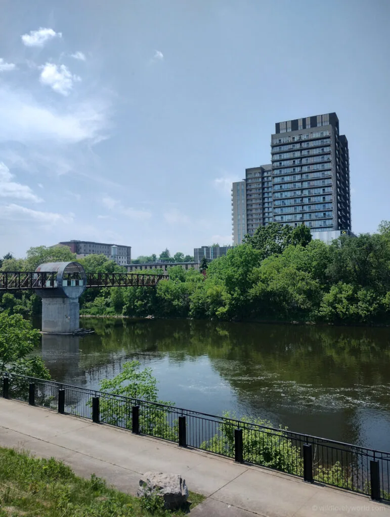 view of the gaslight tower buildings and the pedestrian bridge next to the grand river in cambridge ontario canada