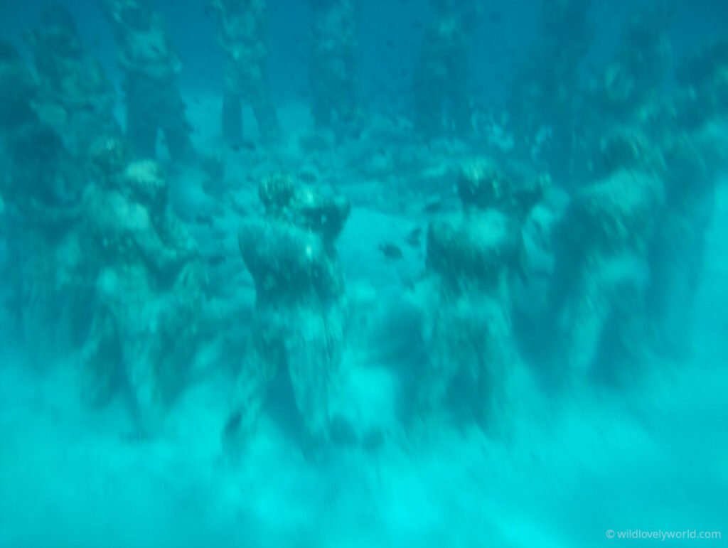 bask nest underwater sculptures