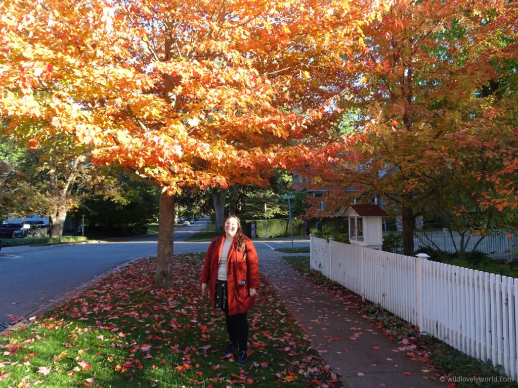 lauren standing in the fallen leaves under an orange autumnal tree on a residential street