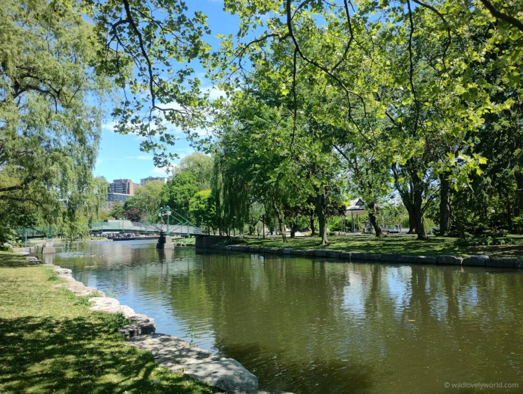 victoria park in kitchener ontario canada