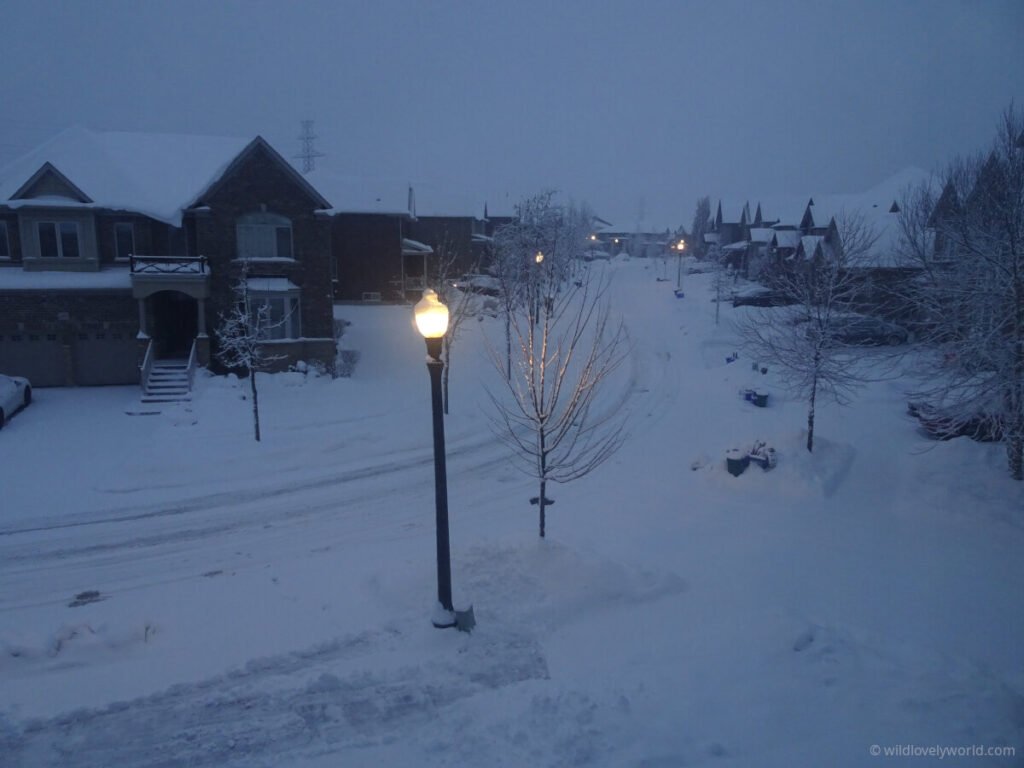 view of houses in an estate in the winter snow in canada