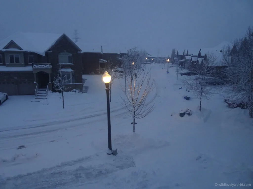 view of houses in an estate in the winter snow in canada