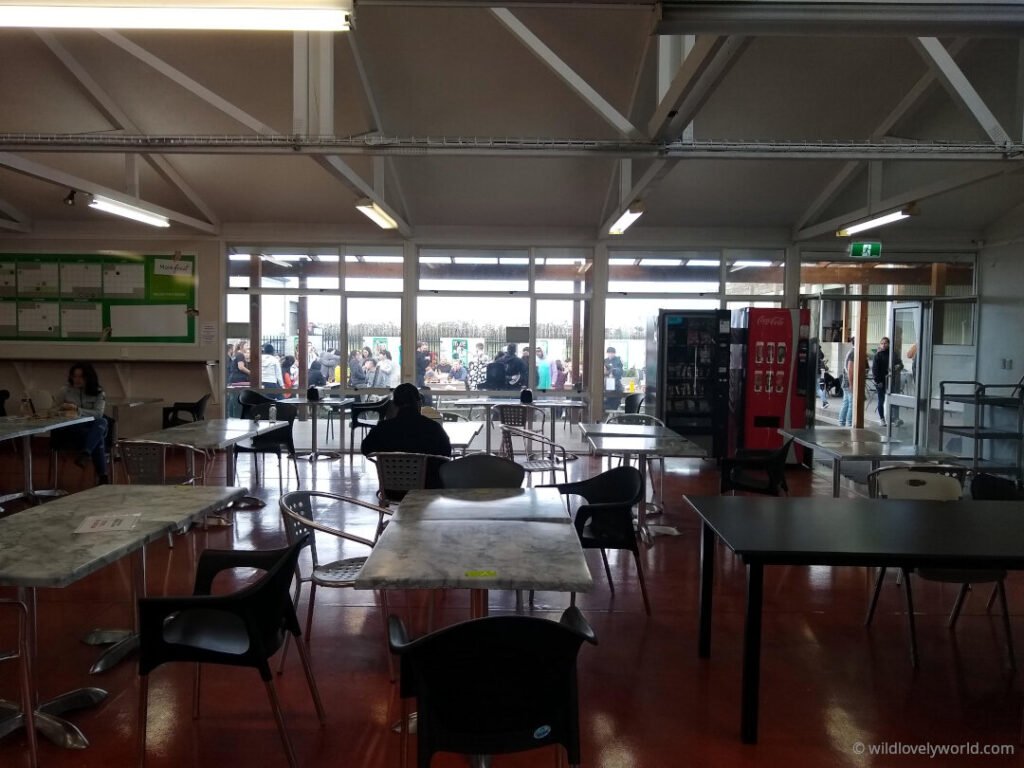 interior cafeteria at the eastpack washer road site kiwifruit packhouse jobs and staff area