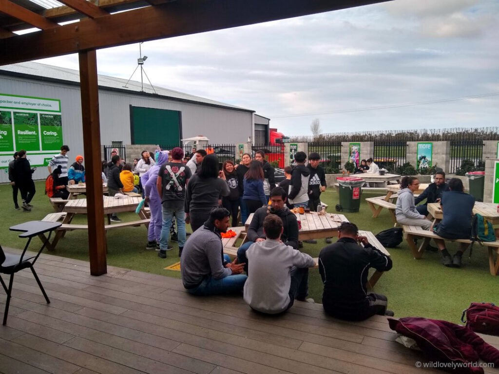 exterior staff break area outside with picnic tables on astroturf with lots of people sitting and chatting
