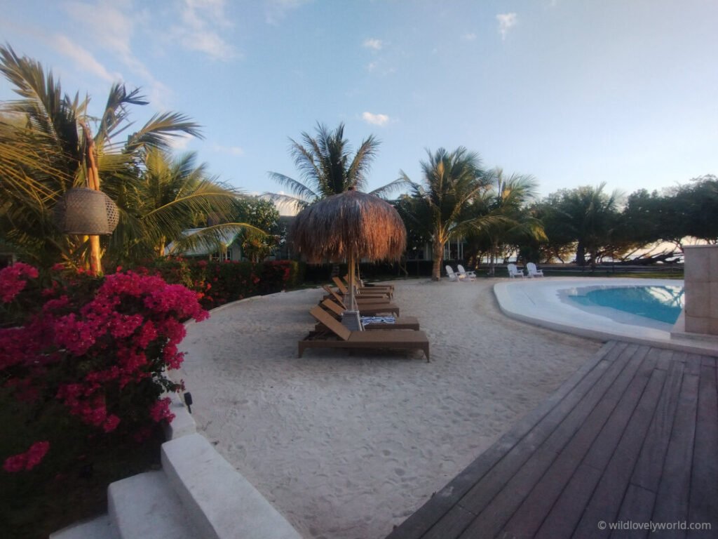 lower swimming pool area with loungers, sand, palm trees, flowers at le pirate gili meno