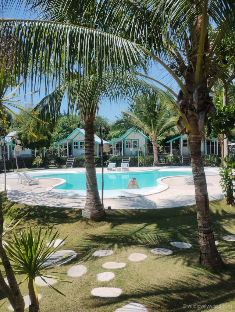 guest only swimming pool during the day surrounded by palm trees le pirate gili meno