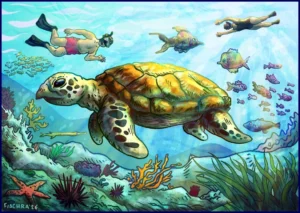 illustration by fiachra hackett snorkelling to see turtles and coral gili meno islands indonesia