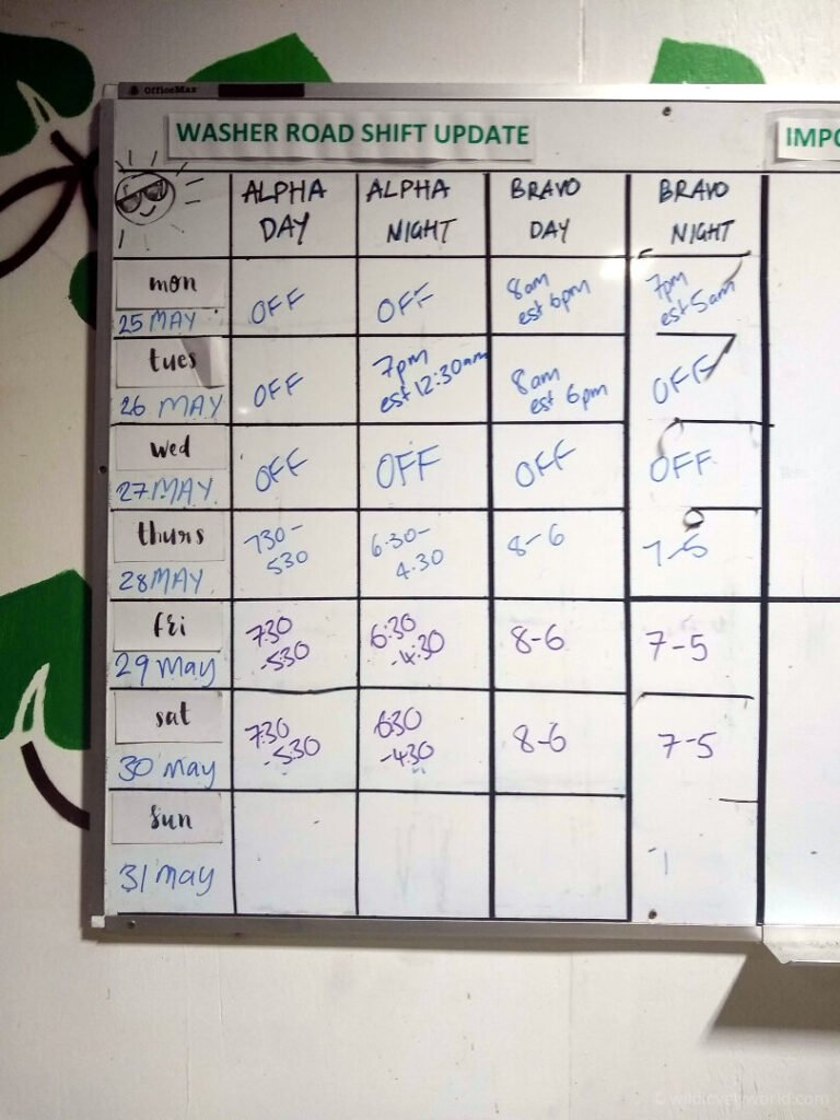 kiwifruit packhouse washer road shift update, showing working shifts and days off