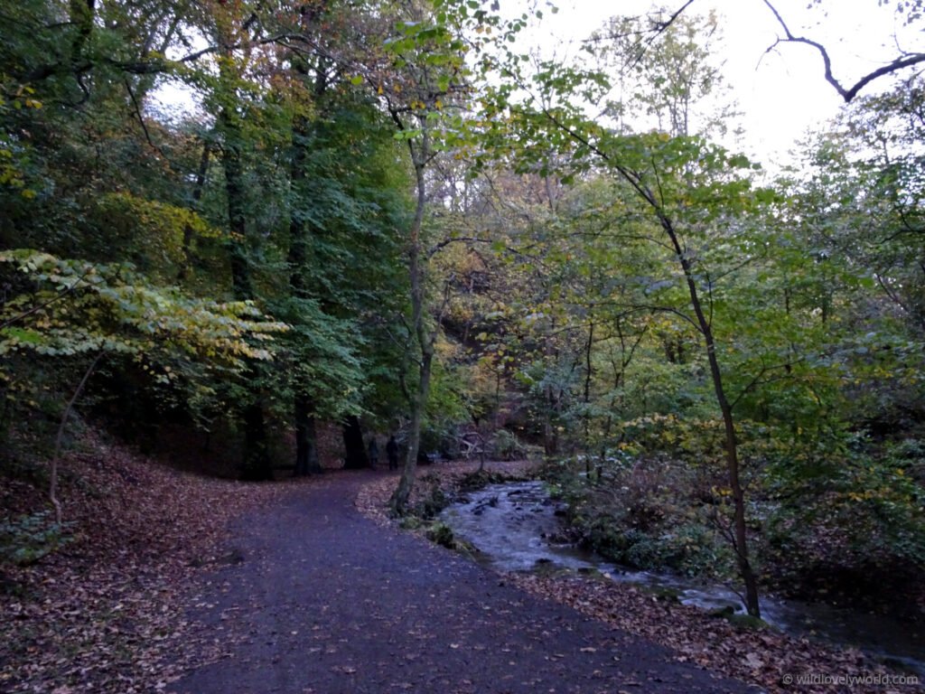 hermitage of braid walking path in edinburgh in woodland along braid burn local nature reserve